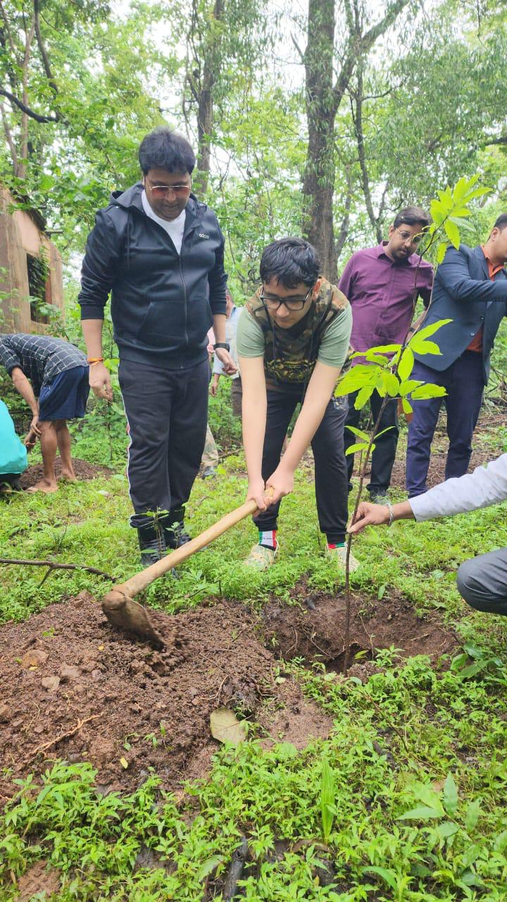 Tree plantation